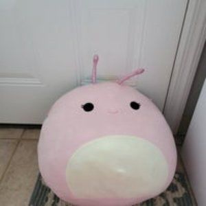 Silvina The Snail Squishmallow